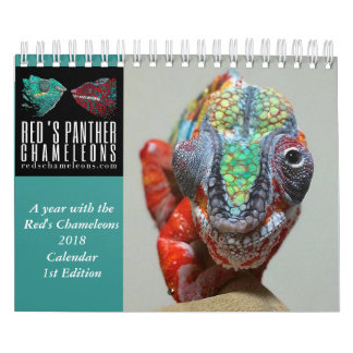Chameleon Calendar Kalender