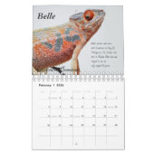 Chameleon Calendar Kalender (Feb 2026)
