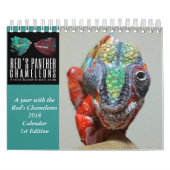 Chameleon Calendar Kalender (Hoes)