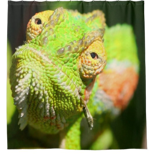 Chameleon Douchegordijn (Voorkant)