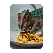 Chameleon Eating Spaghetti Magneet (Verticaal)