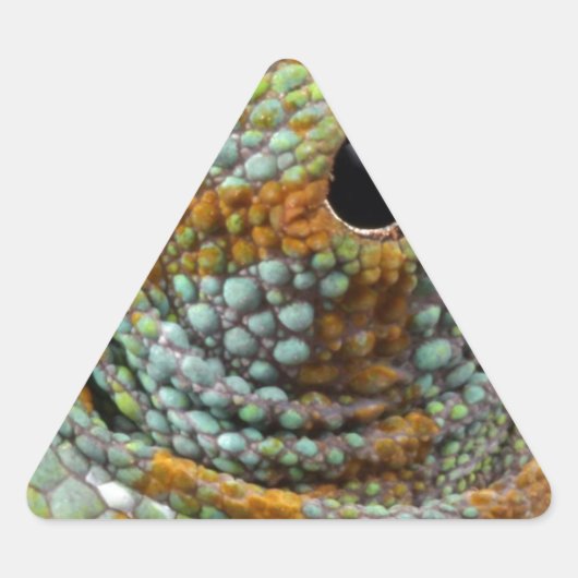 Chameleon Eye Mod Stylish Animal Sticker (Voorkant)