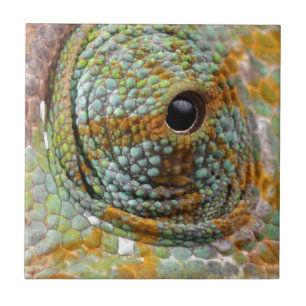 Chameleon Eye Mod Stylish Animal Tegeltje