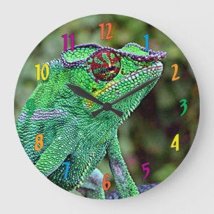 Chameleon Grote Klok