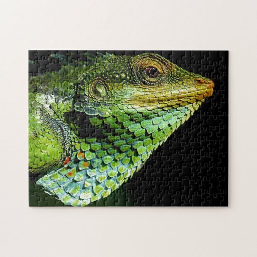 Chameleon Head Close, Jigzaag Puzzle Legpuzzel (Horizontaal)