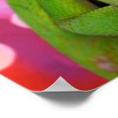 Chameleon Heart (Luv U) Poster (Hoek)