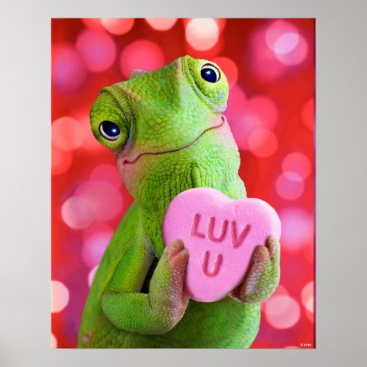 Chameleon Heart (Luv U) Poster (Voorkant)