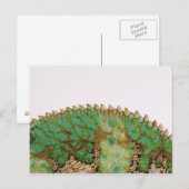 Chameleon-huidverandering Briefkaart (Voorkant / Achterkant)