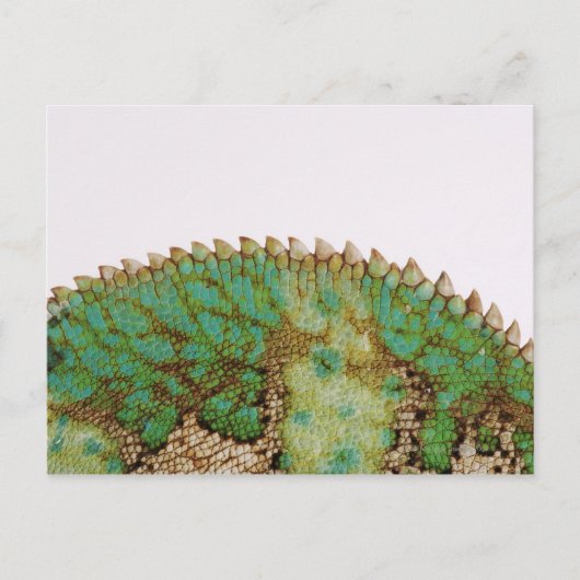 Chameleon-huidverandering Briefkaart (Voorkant)