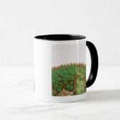 Chameleon-huidverandering Mok (Voorkant rechts)