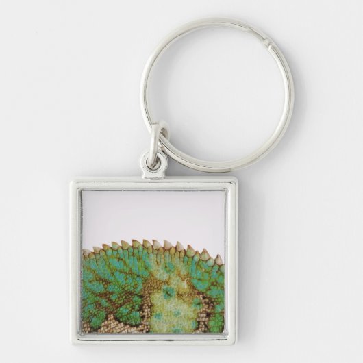 Chameleon-huidverandering Sleutelhanger (Voorkant)