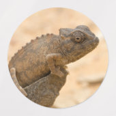 Chameleon in Namibië Labels (Design 1)