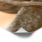 Chameleon in Namibië Perfect Poster (Hoek)