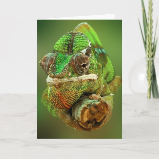 Chameleon Kaart (Voorkant)