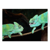 Chameleon Kaart (Voorkant Horizontaal)