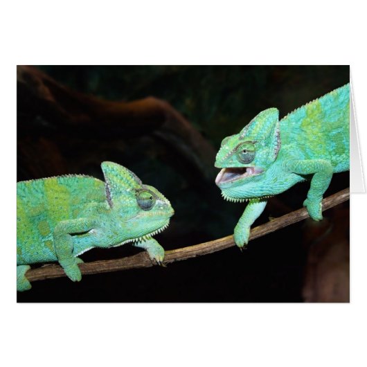 Chameleon Kaart (Voorkant Horizontaal)