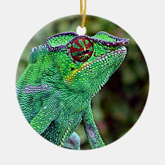 Chameleon Keramisch Ornament (Voorkant)