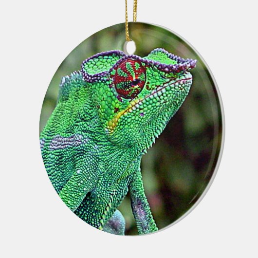 Chameleon Keramisch Ornament (Links)