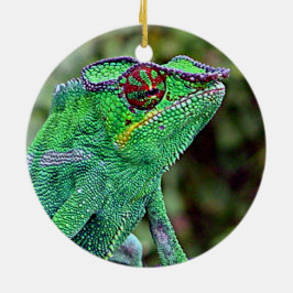 Chameleon Keramisch Ornament