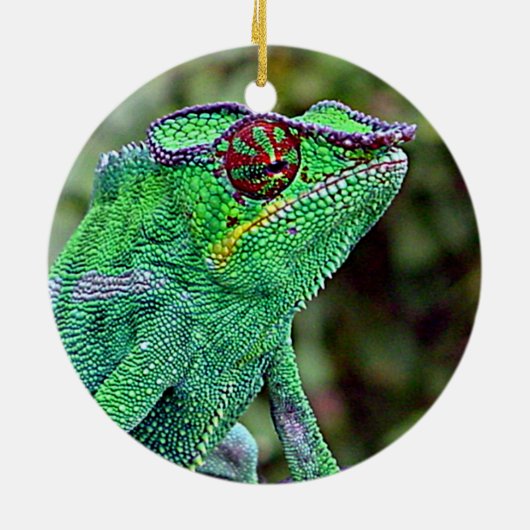 Chameleon Keramisch Ornament (Achterkant)