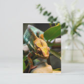 Chameleon komt naar voren briefkaart (Staand voorkant)