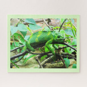 Chameleon Legpuzzel