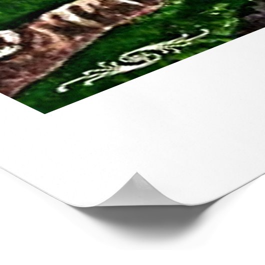 Chameleon Life Poster (Hoek)