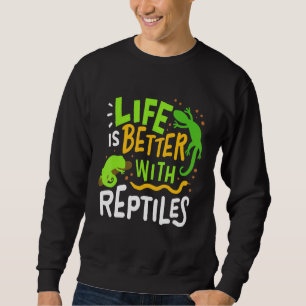 Chameleon Lizard Iguana Reptiles Terrarium Trui
