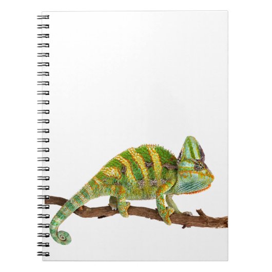 Chameleon Notitieboek (Voorkant)