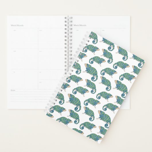 Chameleon Pattern Planner (Display)