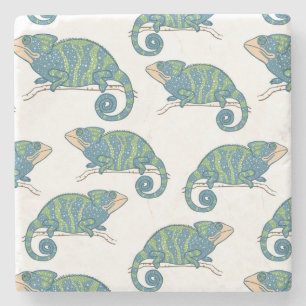 Chameleon Pattern Stenen Onderzetter