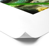 Chameleon Poster (Hoek)