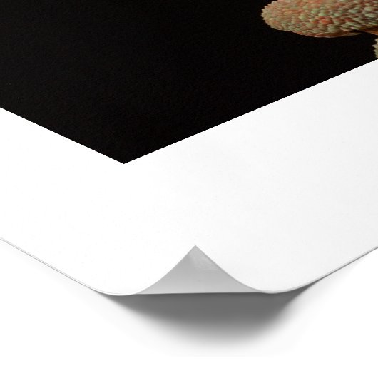 Chameleon Poster (Hoek)