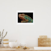 Chameleon Poster (Keuken)