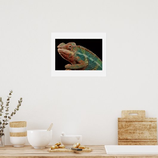 Chameleon Poster (Keuken)