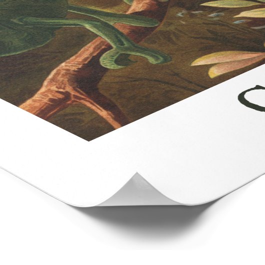 Chameleon  Print Poster (Hoek)