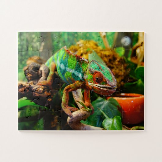 Chameleon Puzzle - Legpuzzel (Horizontaal)