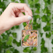 "CHAMELEON RESTING ON SUCCULENT PLANT" SLEUTELHANGER (Hand)