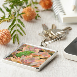 "CHAMELEON RESTING ON SUCCULENT PLANT" SLEUTELHANGER