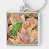 "CHAMELEON RESTING ON SUCCULENT PLANT" SLEUTELHANGER (Voorkant)