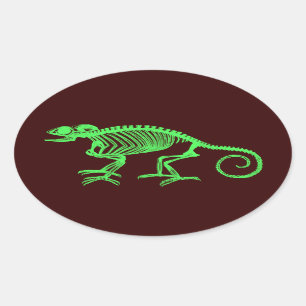 Chameleon Skeleton Ovale Sticker