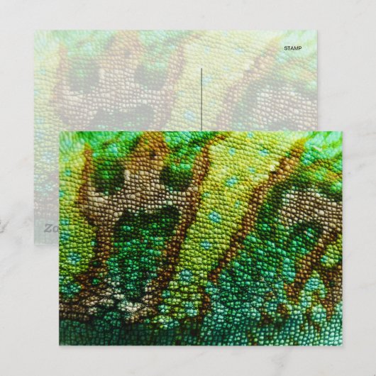 Chameleon Skin Briefkaart (Voorkant / Achterkant)
