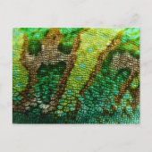 Chameleon Skin Briefkaart (Voorkant)