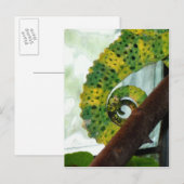 Chameleon Tail Briefkaart (Voorkant / Achterkant)