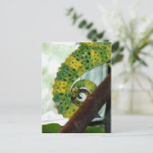 Chameleon Tail Briefkaart (Staand voorkant)