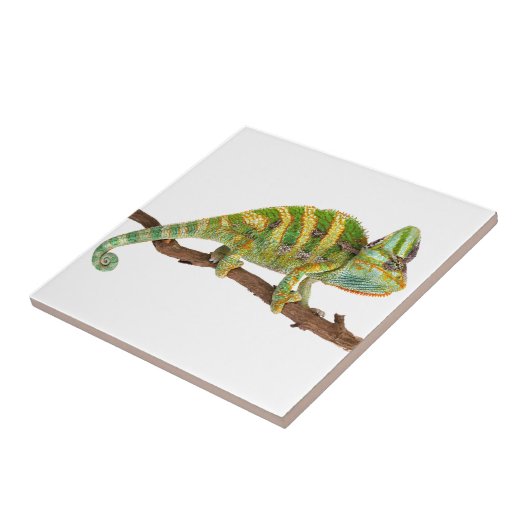 Chameleon Tegeltje (Zijkant)