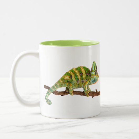 Chameleon Tweekleurige Koffiemok (Links)