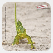Chameleon Vierkante Sticker (Voorkant)