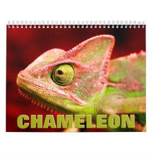 Chameleon Wall Agenda Kalender