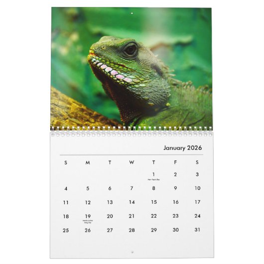 Chameleon Wall Agenda Kalender (Jan 2026)